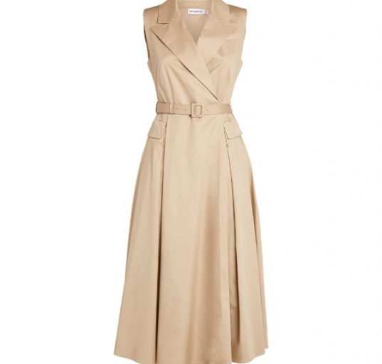 trench dress