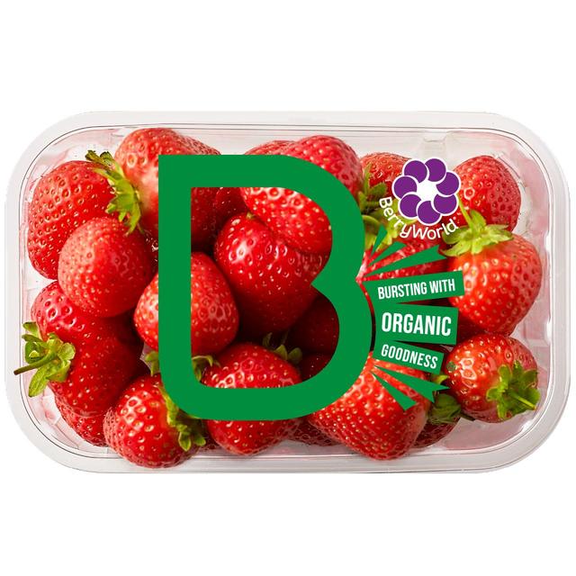 Berryworld Organic Strawberries 300g