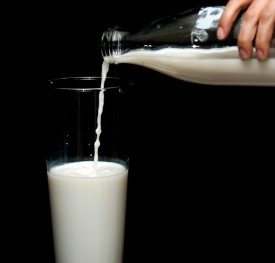 Diary Milk Alternatives: Soy, Oat and Almond Milk Which Is Better